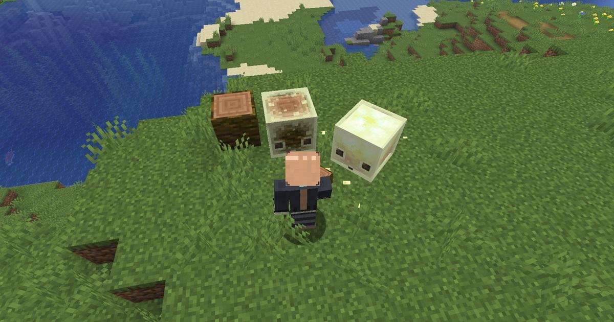 サルファーキューブがブロックを吸収する様子（マイクラ）