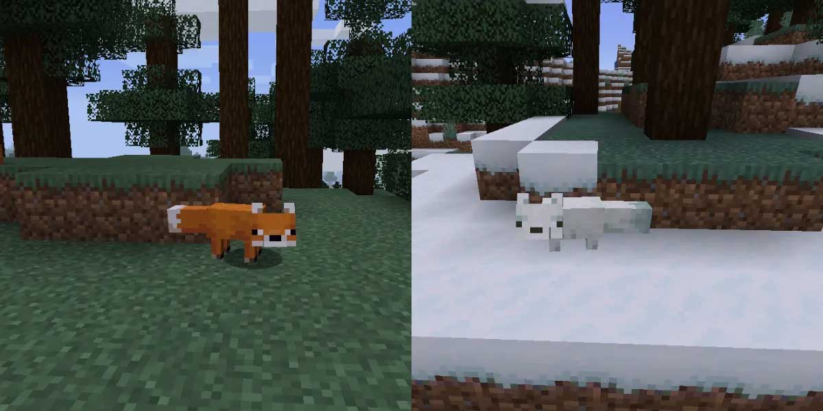 タイガと雪のタイガでスポーンしたキツネの毛色の違い比較画面