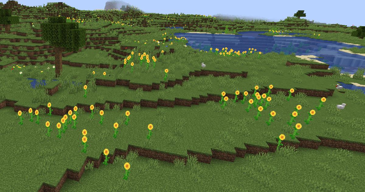 マイクラ温帯バイオーム・ヒマワリ平原のゲーム内スクリーンショット