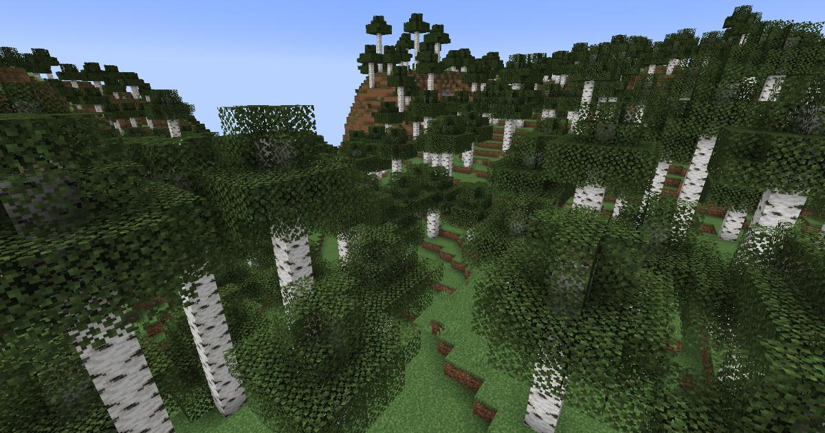 マイクラ温帯バイオーム・シラカバの原生林のゲーム内スクリーンショット