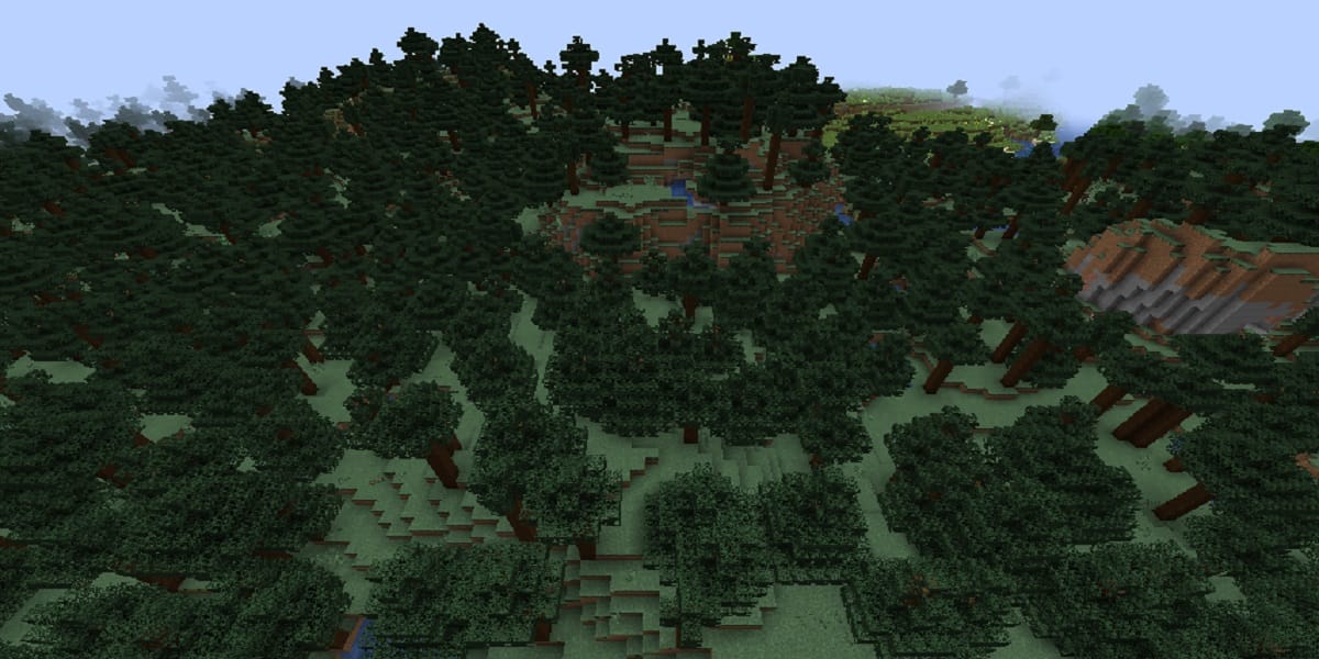 マイクラタイガの山バイオームのゲーム内表示画面