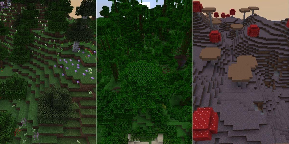 マイクラ温帯バイオームのゲーム内表示画面