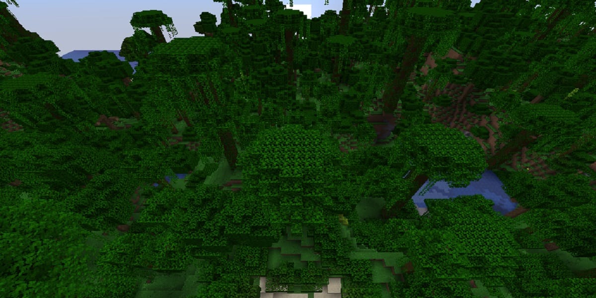 マイクラジャングルバイオームのゲーム内表示画面